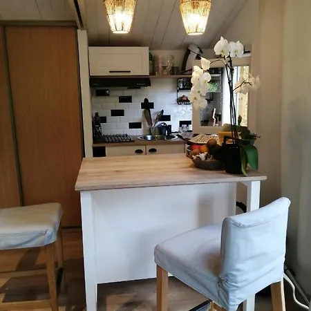 Les De Palavesa Horská chata