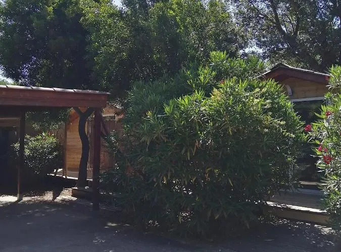 Les De Palavesa 维琪奥港