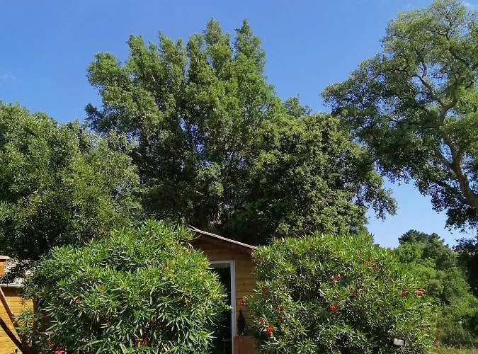 木屋 Les De Palavesa