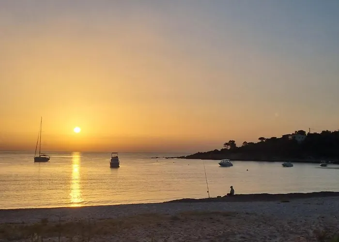 Les De Palavesa 木屋 *